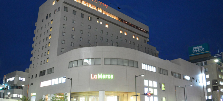 高崎华盛顿广场酒店(Takasaki Washington Hotel Plaza)图片