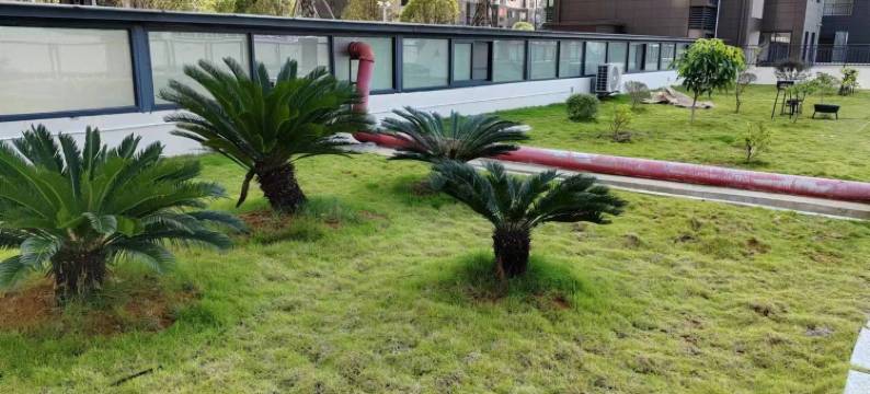 老王展洲公馆公寓(秧塘路分店)图片