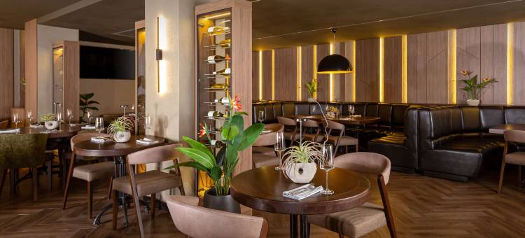 乌里扬诺夫斯克丽笙酒店(Radisson Hotel Ulyanovsk)图片