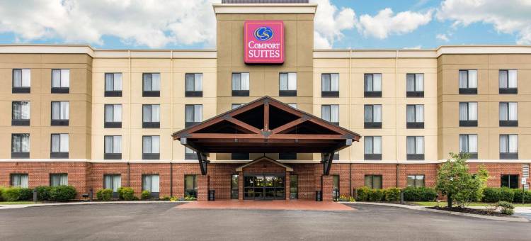 舒适套房酒店(Comfort Suites)图片