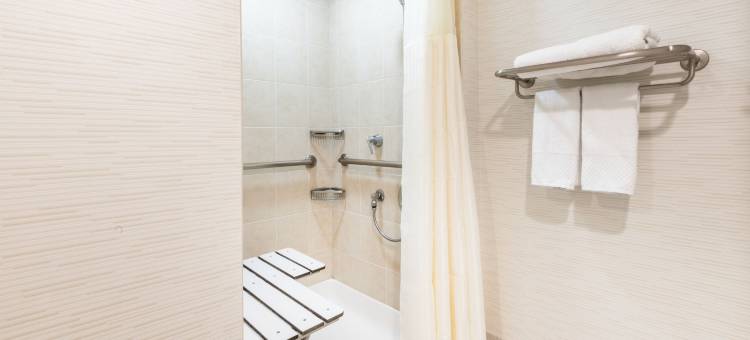 费城福奇谷希尔顿大使套房酒店(Embassy Suites by Hilton Philadelphia Valley Forge)图片