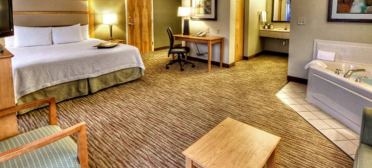 卡拉马祖奥施蒂莫欢朋酒店及套房(Hampton Inn & Suites Kalamazoo/Oshtemo)图片