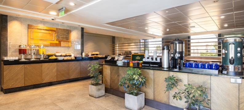 Holiday Inn Express 康塞普西(Holiday Inn Express CONCEPCION by IHG)图片