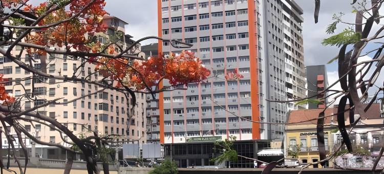 雷西非雷德安卓德广场酒店(Rede Andrade Plaza Recife)图片