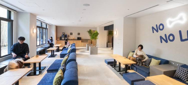 hotel anddoggy京都二条(hotel anddoggy Kyoto Nijo)图片