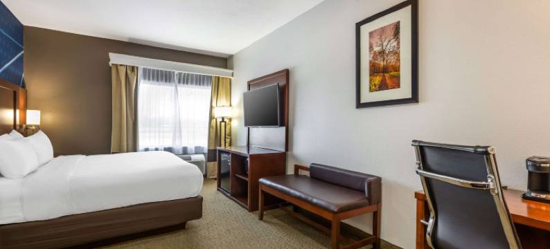 奥马哈东-康瑟尔崖舒适套房酒店(Comfort Suites Omaha East-Council Bluffs)图片