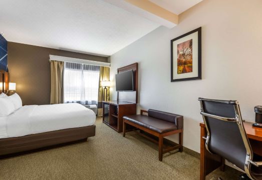 奥马哈东-康瑟尔崖舒适套房酒店