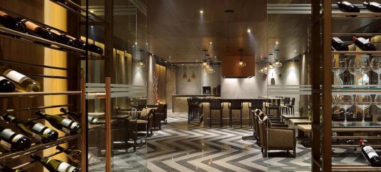 拉利特新德里(The Lalit New Delhi)图片