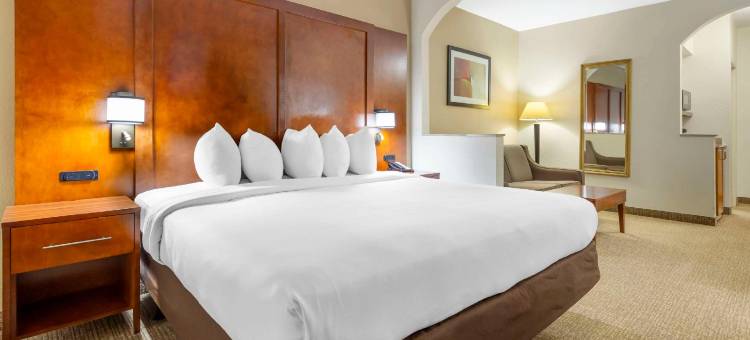 里奇伍德农场舒适套房酒店(Comfort Suites Inn at Ridgewood Farm)图片