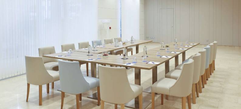 NH坎希勒阿亚拉维多利亚酒店(NH Canciller Ayala Vitoria)图片