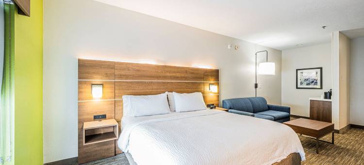 智选假日套房酒店富兰克林(Holiday Inn Express & Suites FRANKLIN by IHG)图片