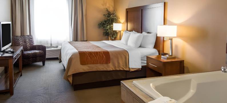 舒适套房酒店(Comfort Inn & Suites)图片