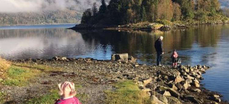 Havn I Etne with Fjordview图片