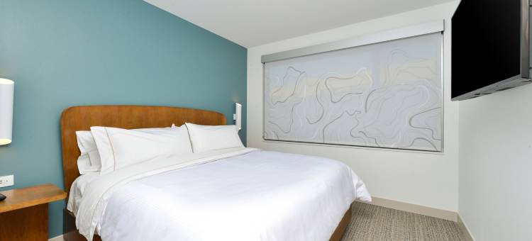 北堪萨斯城源宿酒店(Element North Kansas City)图片