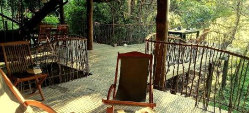 加卡达瓦拉森林小屋酒店(Galkadawala Forest Lodge)图片