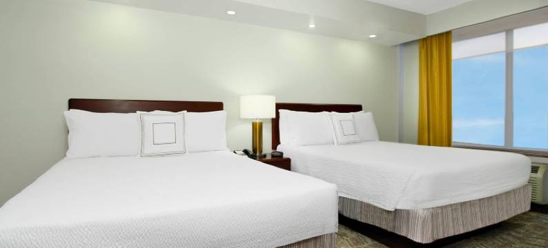 切萨皮克绿蔷薇SpringHill套房(SpringHill Suites Chesapeake Greenbrier)图片