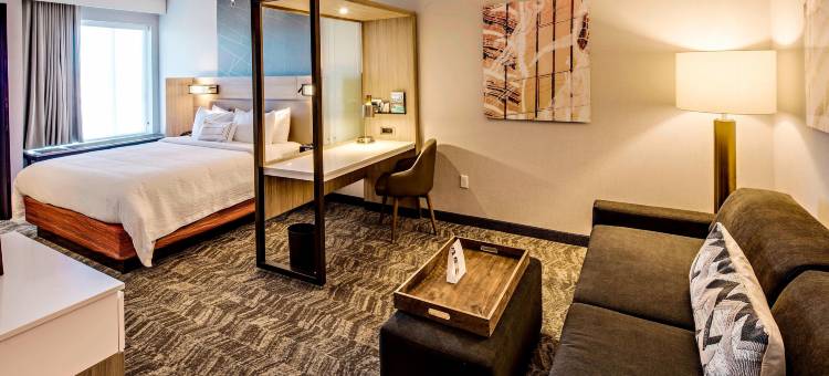 代顿北SpringHill Suites酒店(SpringHill Suites Dayton Vandalia)图片