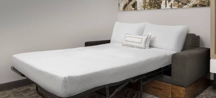 亚特兰大周界中心万豪SpringHill Suites酒店(SpringHill Suites Atlanta Perimeter Center)图片