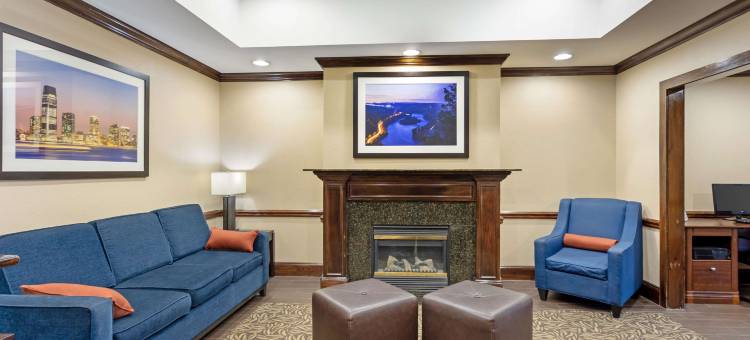 舒适套房酒店(Comfort Inn & Suites Carneys Point)图片