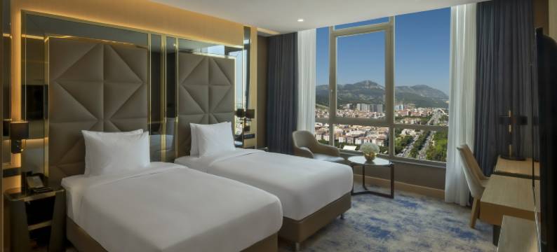 马尼萨希尔顿逸林酒店(DoubleTree by Hilton Manisa)图片