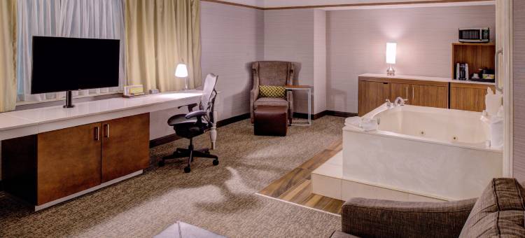 底特律南园市希尔顿花园酒店(Hilton Garden Inn Detroit-Southfield)图片