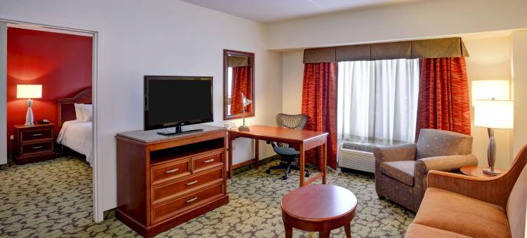 芝加哥中途机场希尔顿花园酒店(Hilton Garden Inn Chicago/Midway Airport)图片