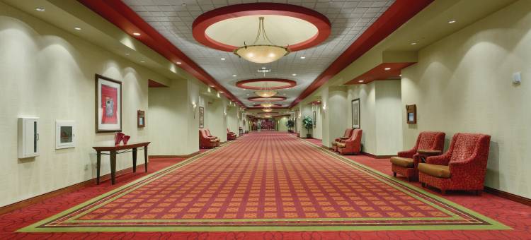 纳什维尔东南默夫里斯伯勒希尔顿安泊酒店(Embassy Suites by Hilton Nashville SE Murfreesboro)图片