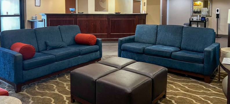 阿塔拉加兹登舒适套房酒店(Comfort Suites Gadsden Attalla)图片