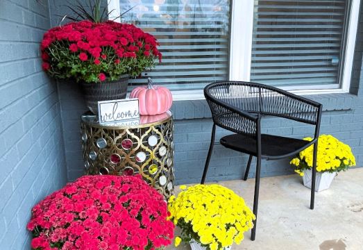 The Fox Den is your cozy retreat in Norman, 1/2-mi from campus! Hotel Overview