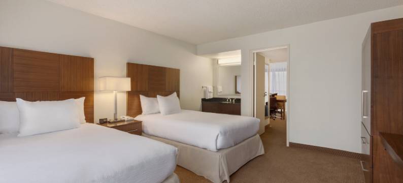 巴吞鲁日希尔顿安泊酒店(Embassy Suites by Hilton Baton Rouge)图片