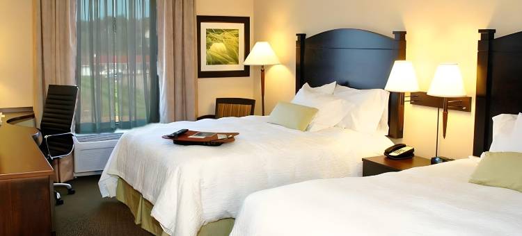 蒙克顿新不伦瑞克希尔顿欢朋套房酒店(Hampton Inn & Suites by Hilton Moncton)图片