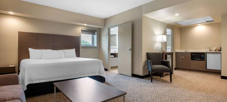 克拉丽奥套房酒店(Clarion Hotel & Suites)图片