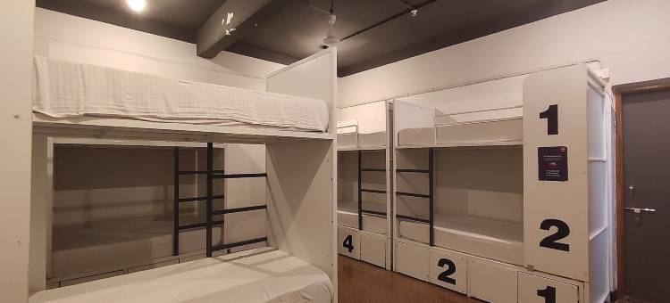 牛仔背包客旅馆(Backpacker Cowies)图片