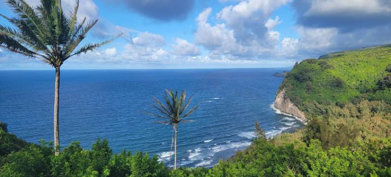 科哈拉乡村旅馆(Kohala Village Inn)图片