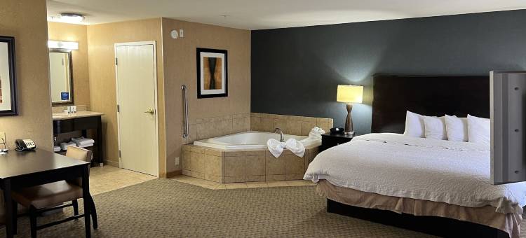 巴斯托欢朋套房酒店(Hampton Inn & Suites Barstow)图片