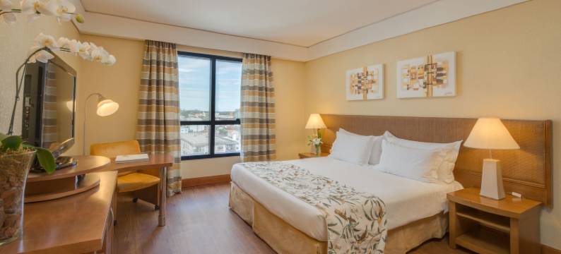 蓝树塔南卡希亚斯酒店(Blue Tree Towers Caxias do Sul)图片