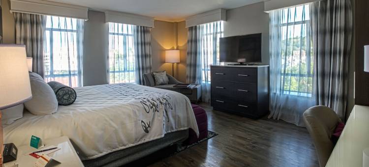英迪格酒店伯明翰五点南 - 阿拉巴马大学伯明翰分校 by IHG(Hotel Indigo Birmingham Five Points S - UAB)图片