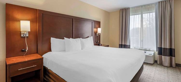 林肯东舒适套房酒店-购物区(Comfort Suites East Lincoln - Mall Area)图片