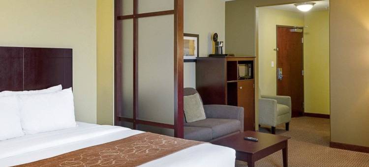 舒适套房酒店-哈维-新奥尔良西(Comfort Suites Harvey - New Orleans West)图片