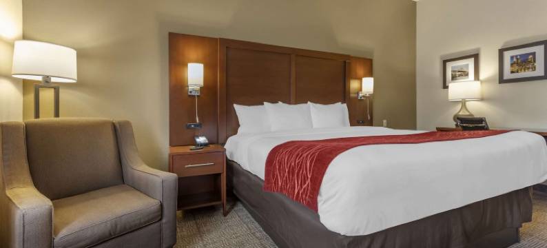 特斯柏罗-肯特舒适套房酒店(Comfort Inn & Suites Streetsboro - Kent)图片