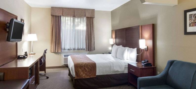 品质套房酒店米德兰北环路250(Quality Suites Midland North Loop 250)图片