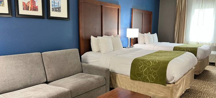 路易斯维尔东舒适套房酒店(Comfort Suites Louisville East)图片