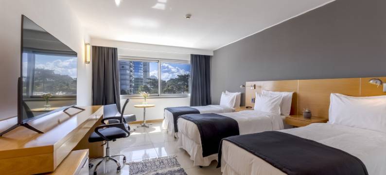 公园酒店 - 蓬塔德尔埃斯特(Park Hotel)图片