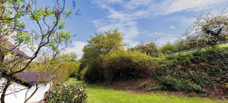 布劳巴赫自然酒店(Nature Hotel Blaubach)图片