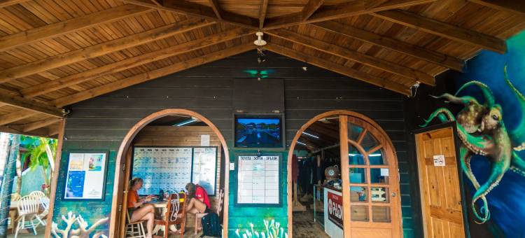 水花旅馆潜水度假村及别墅酒店(Splash Inn Dive Resort & Villas)图片