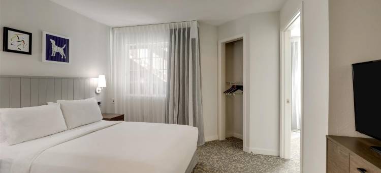 索内斯塔ES套房-圣何塞机场(Sonesta ES Suites San Jose - Airport)图片