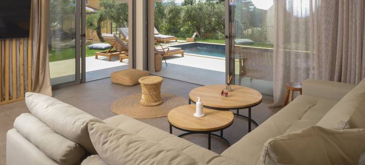 埃拉亚橄榄树丛(Elaia Grove)图片