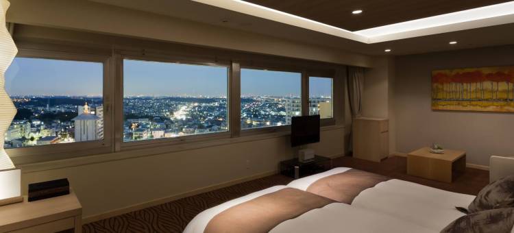 东京町田伦勃朗酒店(Rembrandt Hotel Tokyo Machida)图片