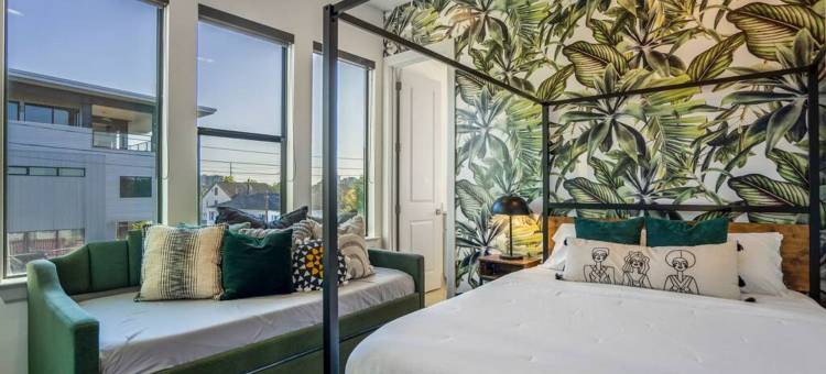 HTX天际线的城市丛林避难所(Urban Jungle Retreat in the Htx Skyline)图片