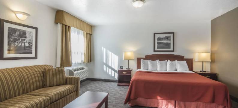 会议中心品质酒店(Quality Hotel & Conference Centre)图片